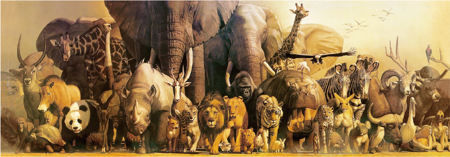 Noah's Ark Panoramic Jigsaw Puzzle 1000pcs 98*34