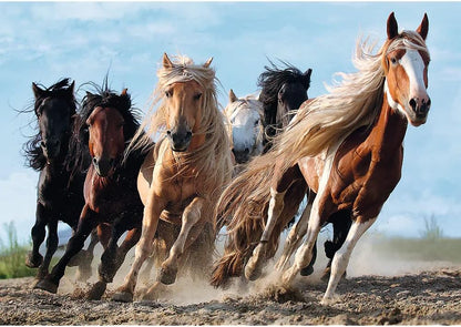 Trefl Jigsaw Puzzle - Galloping Horses 1000pcs 68*48cm - Puzzleit
